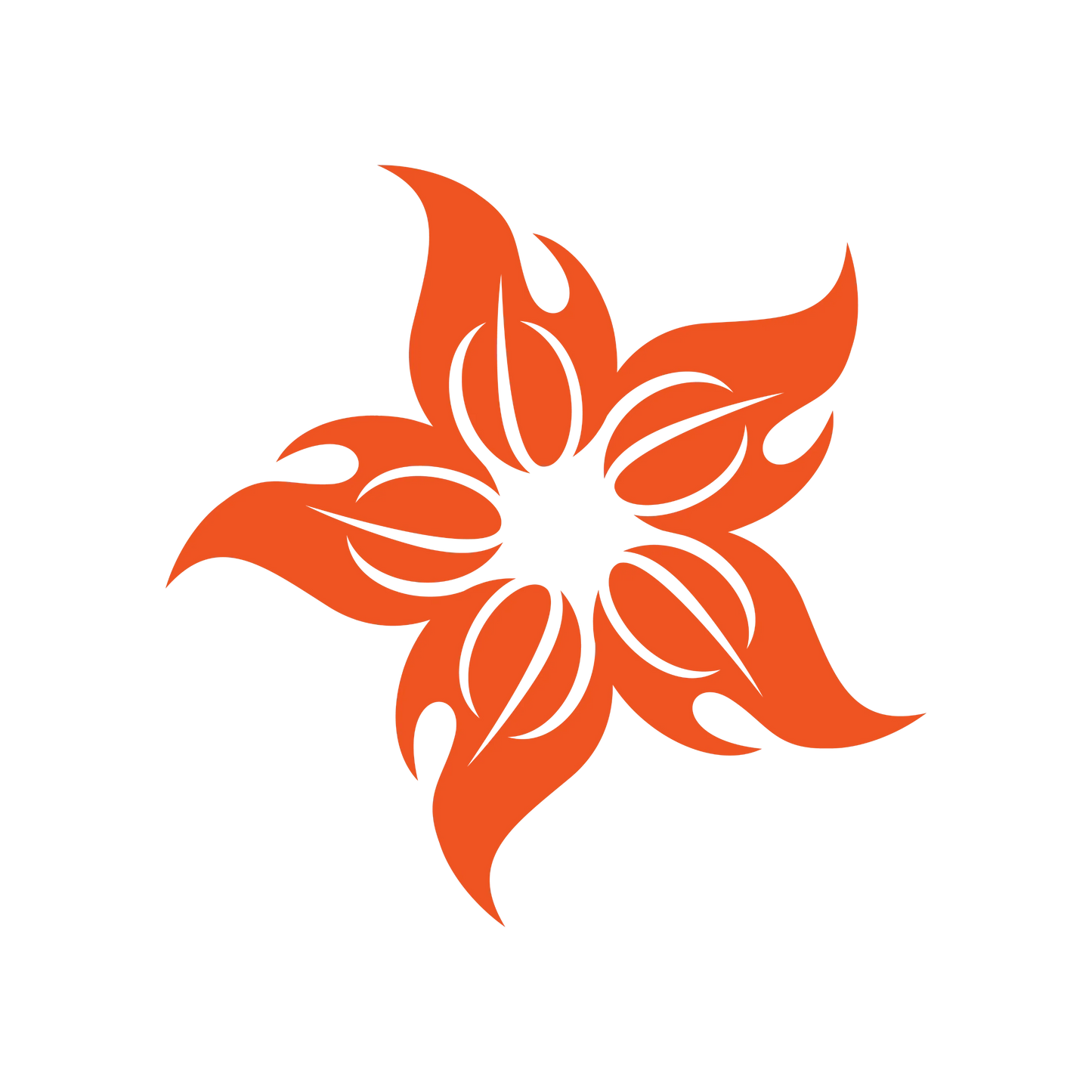 The Tradition Logo Origin Story: Fire Flower