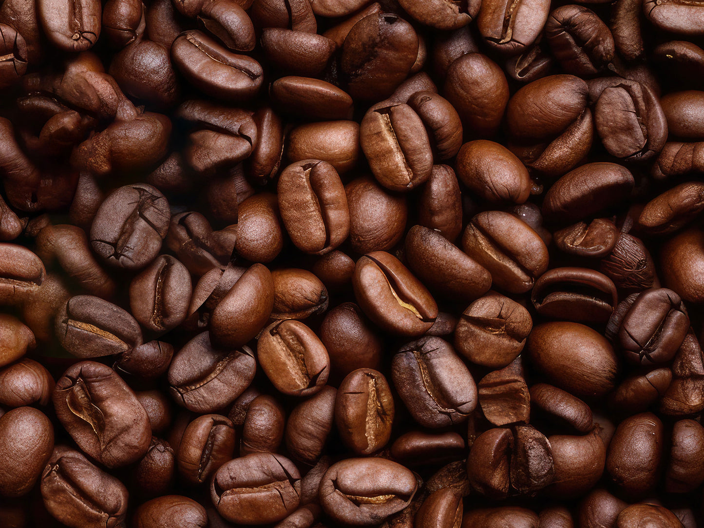 MEDIUM ROAST