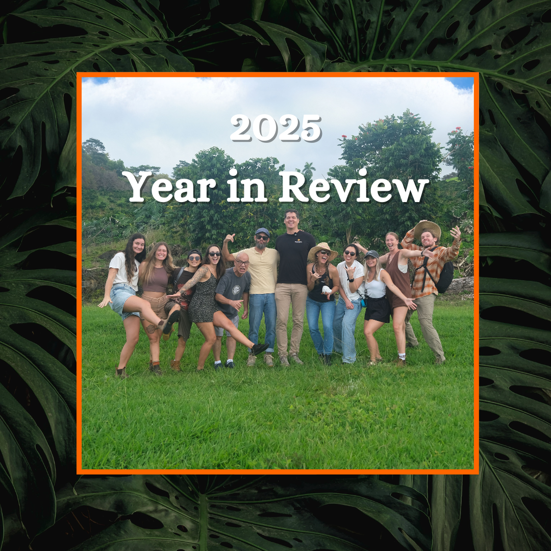 Reflecting on 2025 with Gratitude