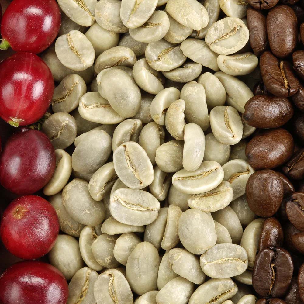 The Craft of Tradition Coffee Roasting