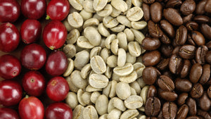 The Craft of Tradition Coffee Roasting