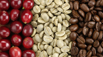 The Craft of Tradition Coffee Roasting