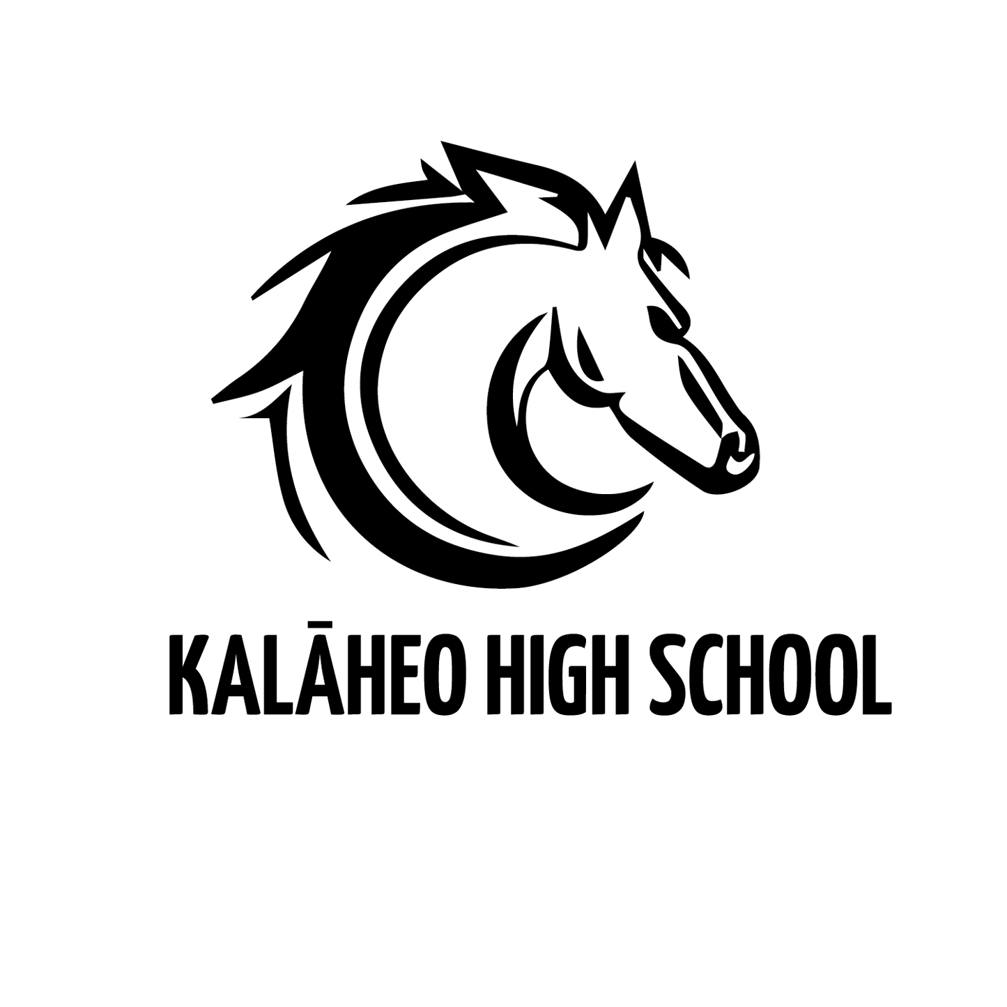 Instructions for The Kalaheo Mustang Swim Team