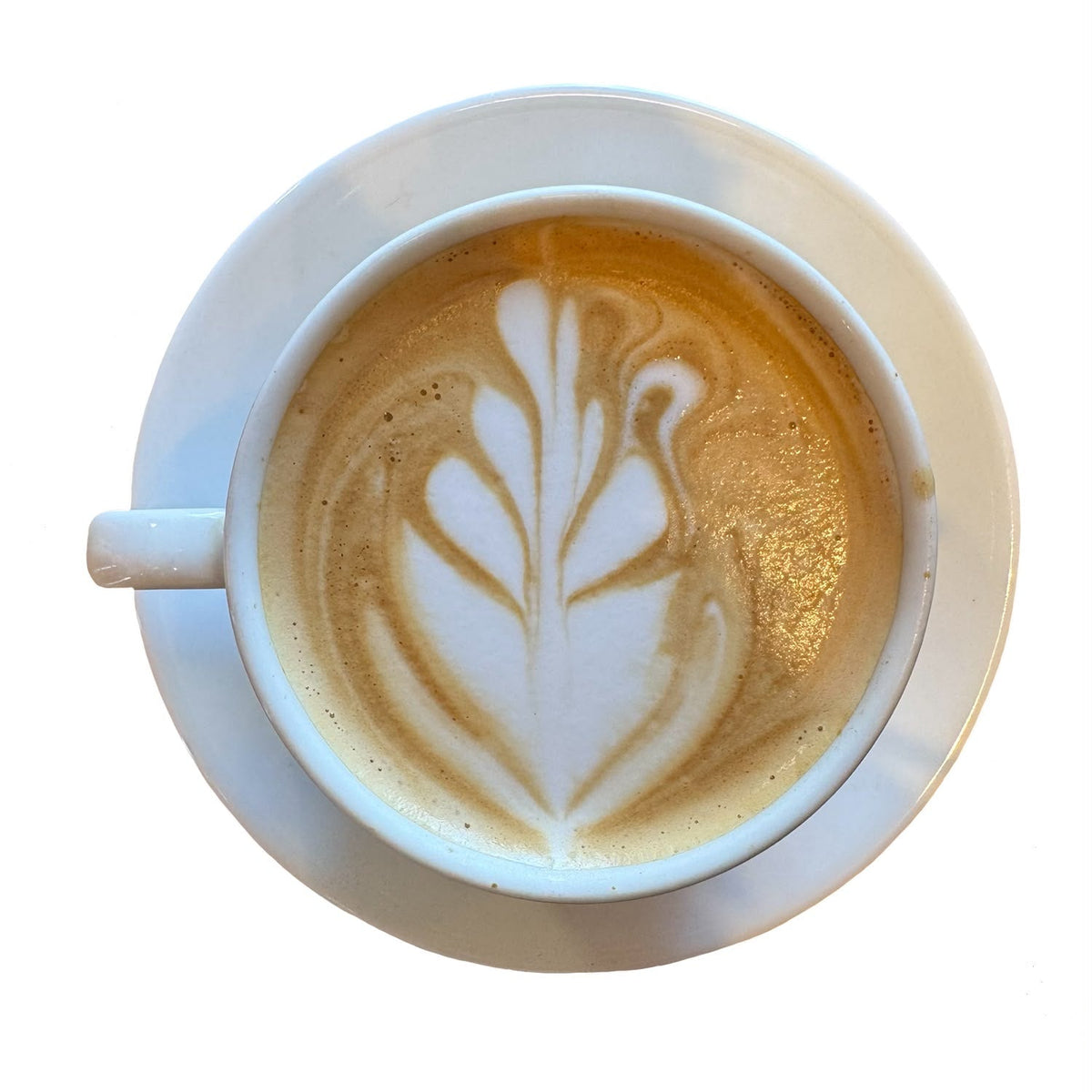 Our House-Made Pumpkin Spice Latte Is Here