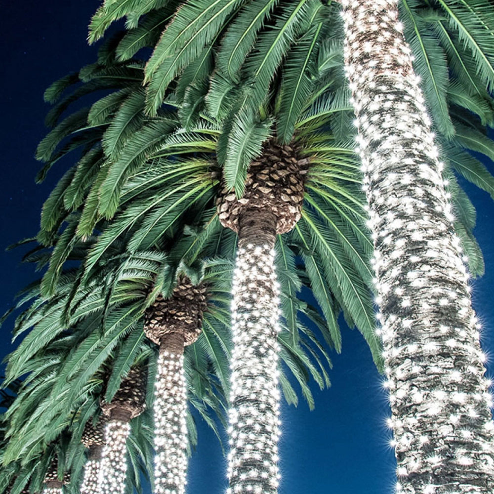 Mele Kalikimaka Tradition