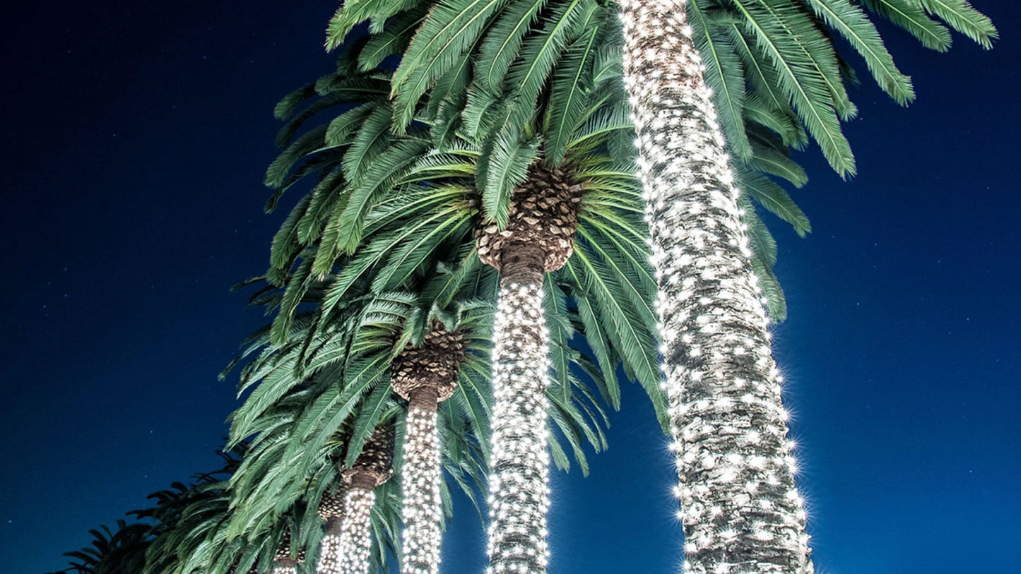 Mele Kalikimaka Tradition