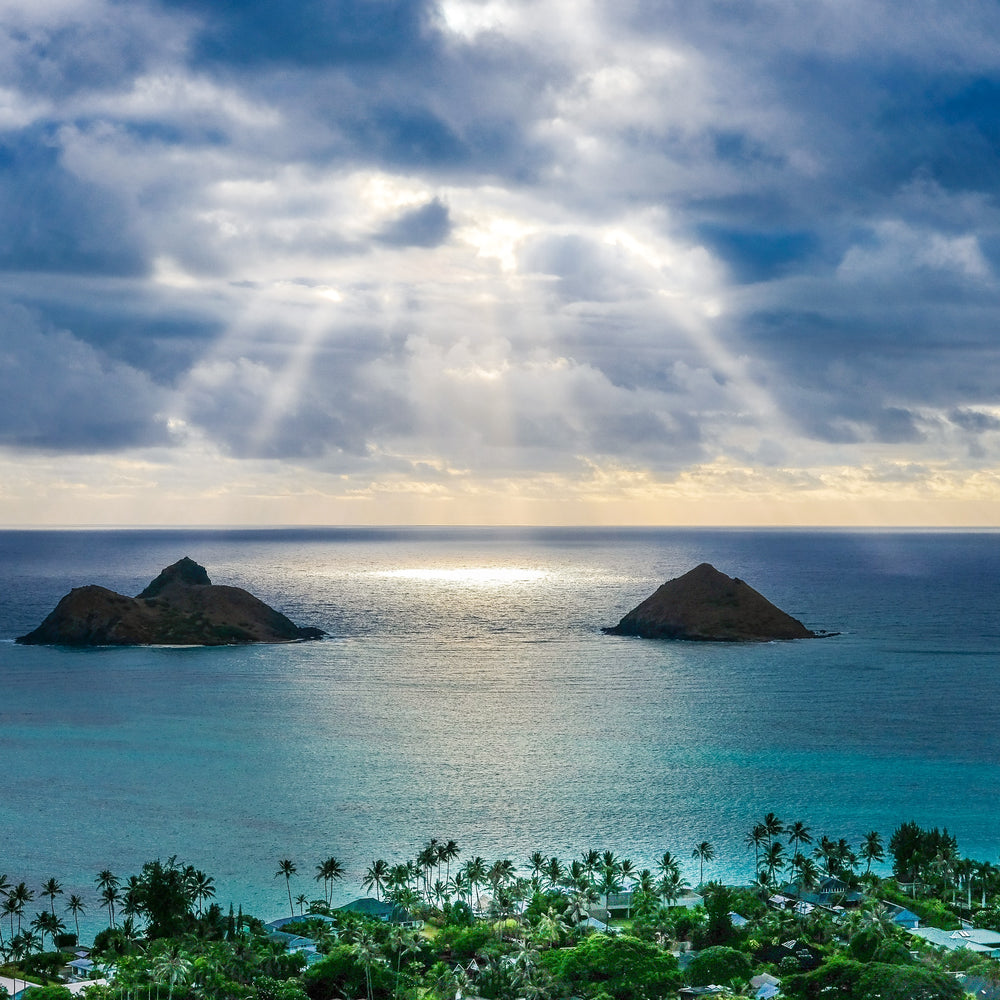 Just In for Summer: Kailua Cold Brew