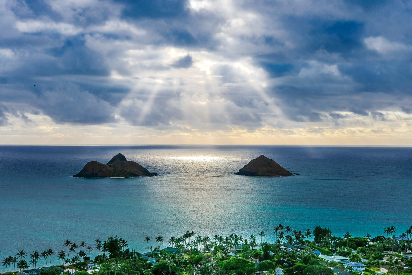 Just In for Summer: Kailua Cold Brew