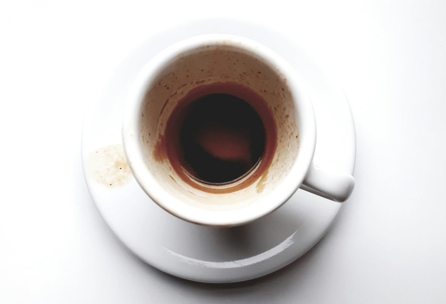 How Our Clean Cup Event Went Last Month!