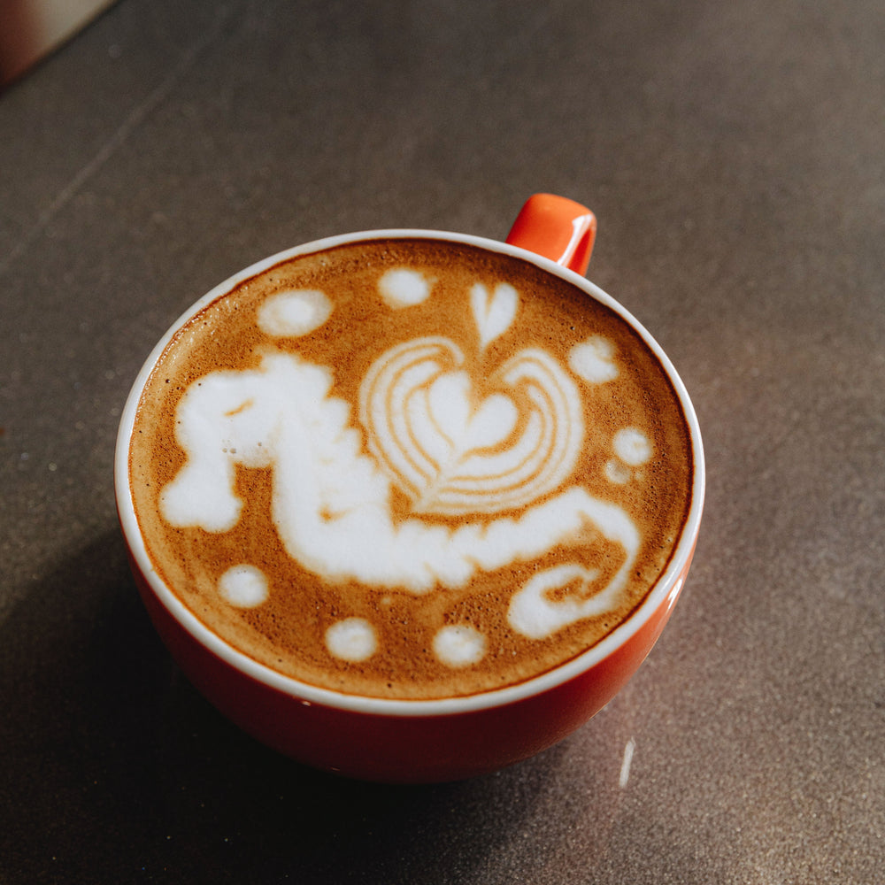 What’s on the Menu? A Tradition Coffee Drink Guide